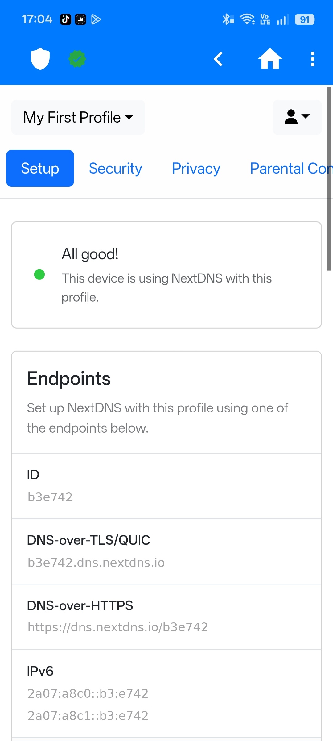 Original NextDNS Setup screen — no security warning