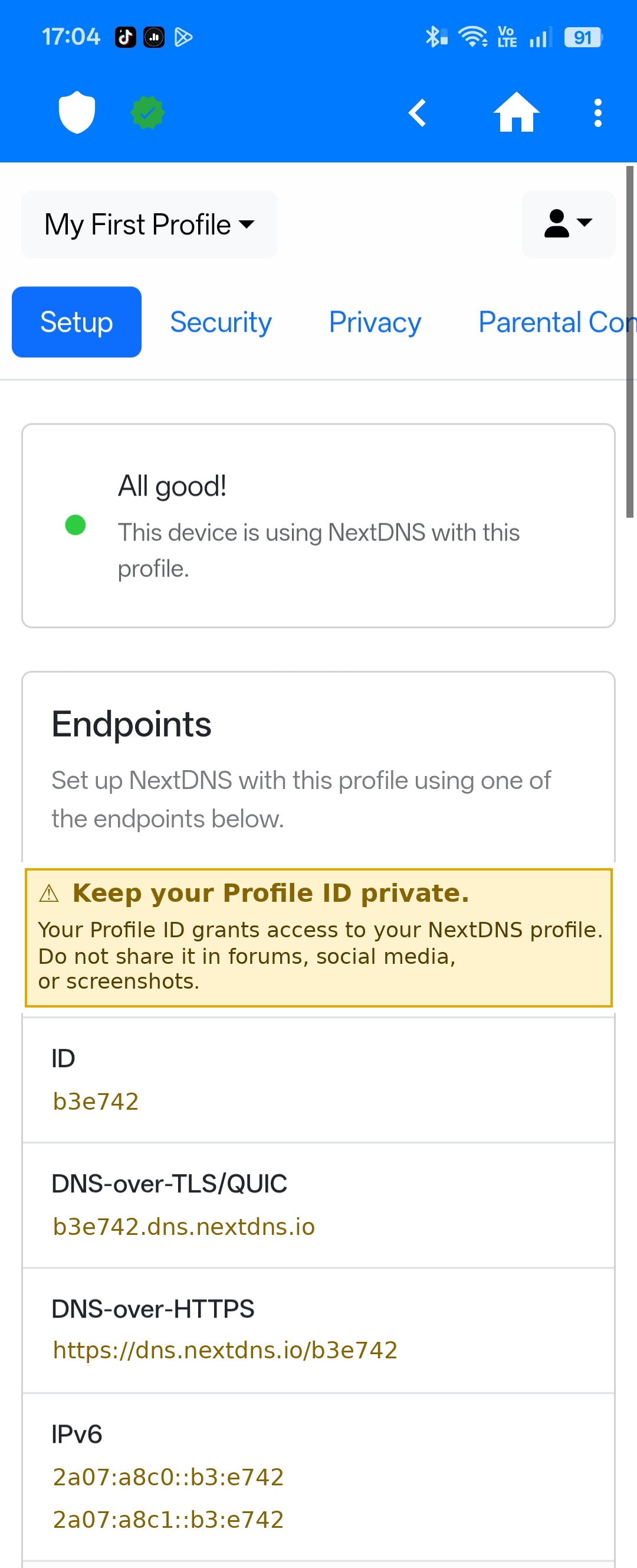 Redesigned NextDNS Setup screen — with Caution banner and color-coded sensitive values